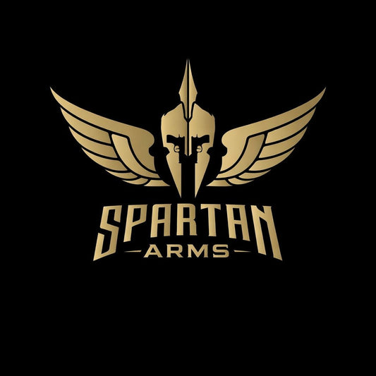VIP PROTECTION. TRANSPORT AND ESCORT